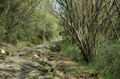 Old Tokaido highway